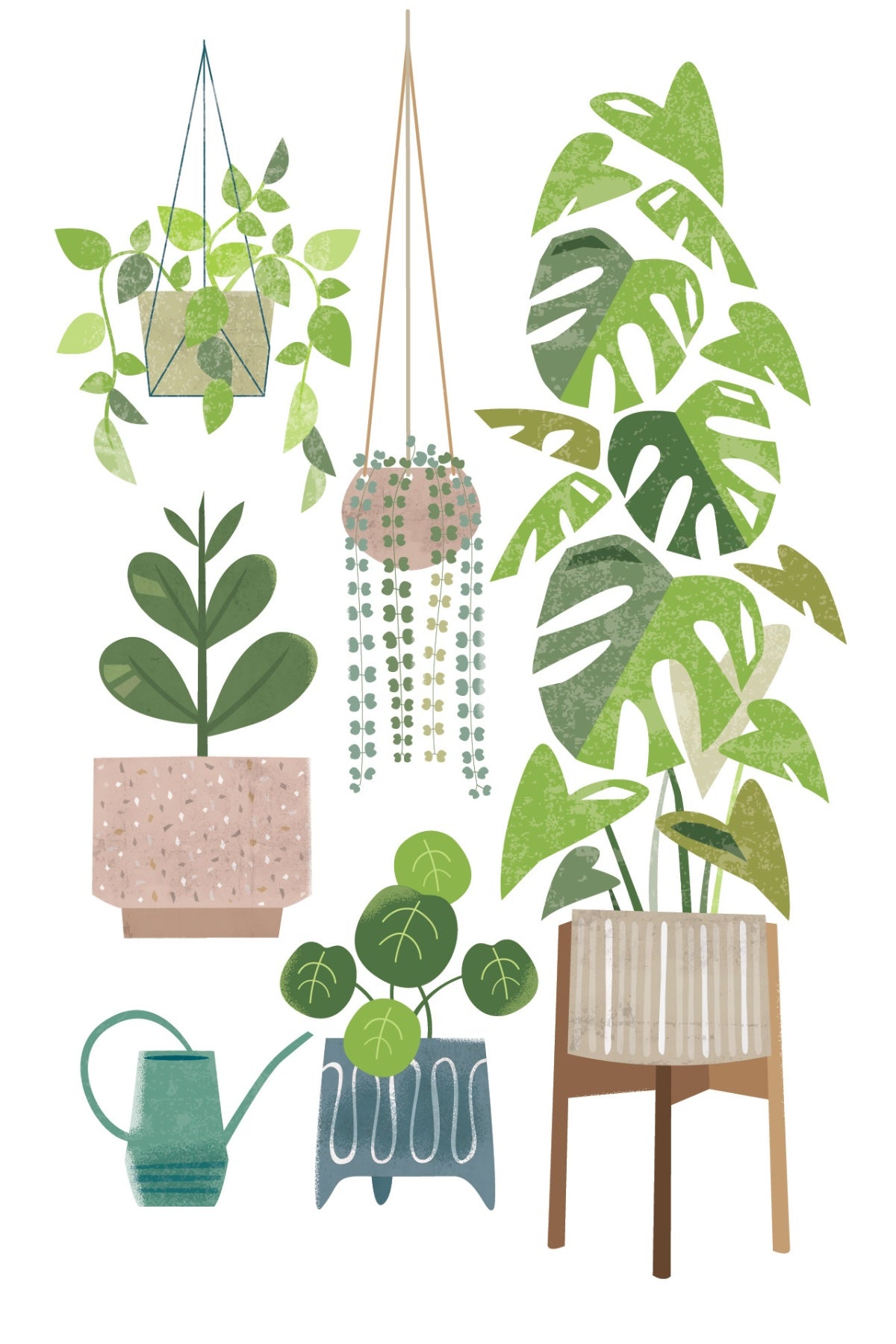 Houseplants Postcard