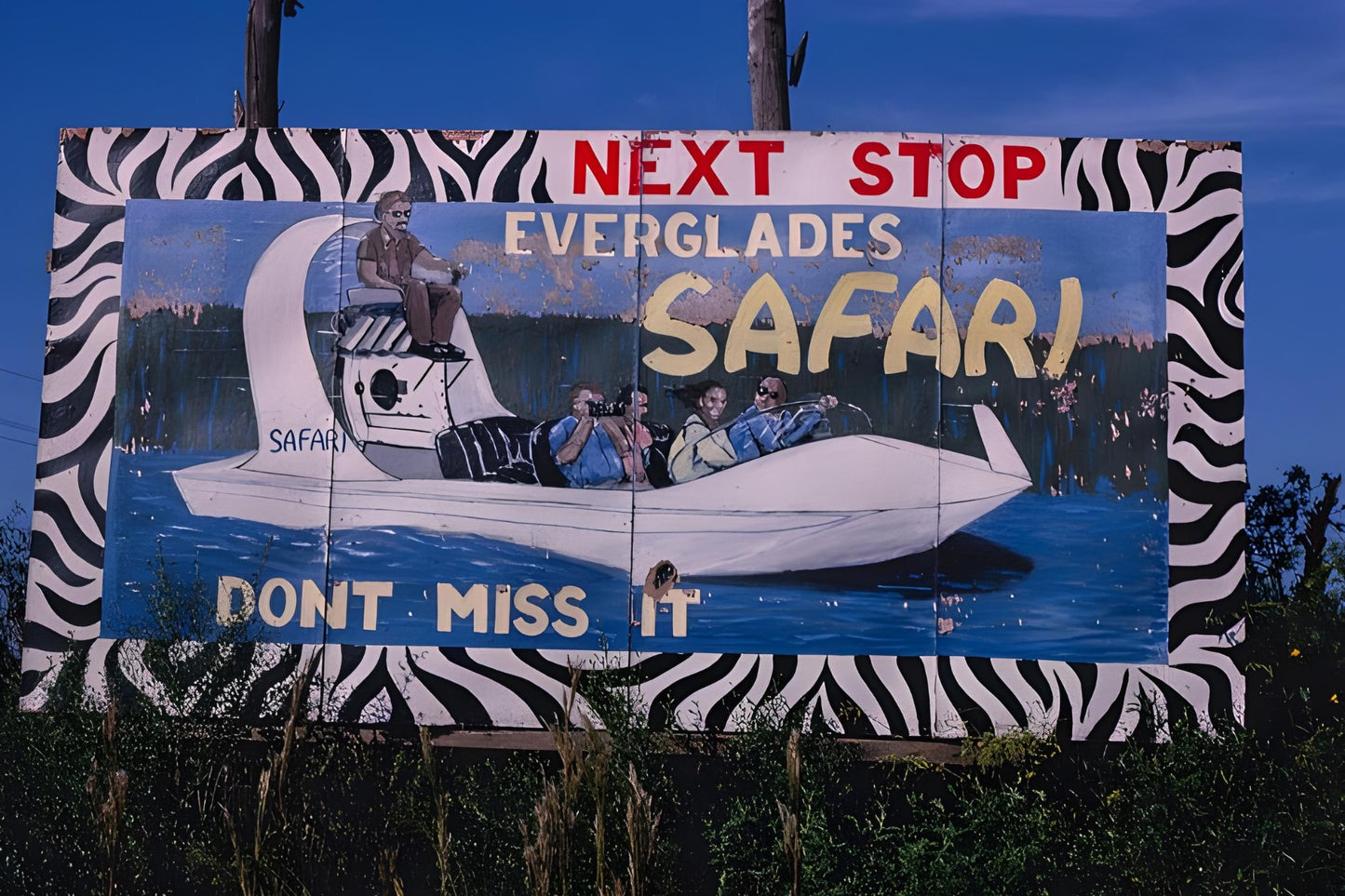 Everglades Safari Postal Card