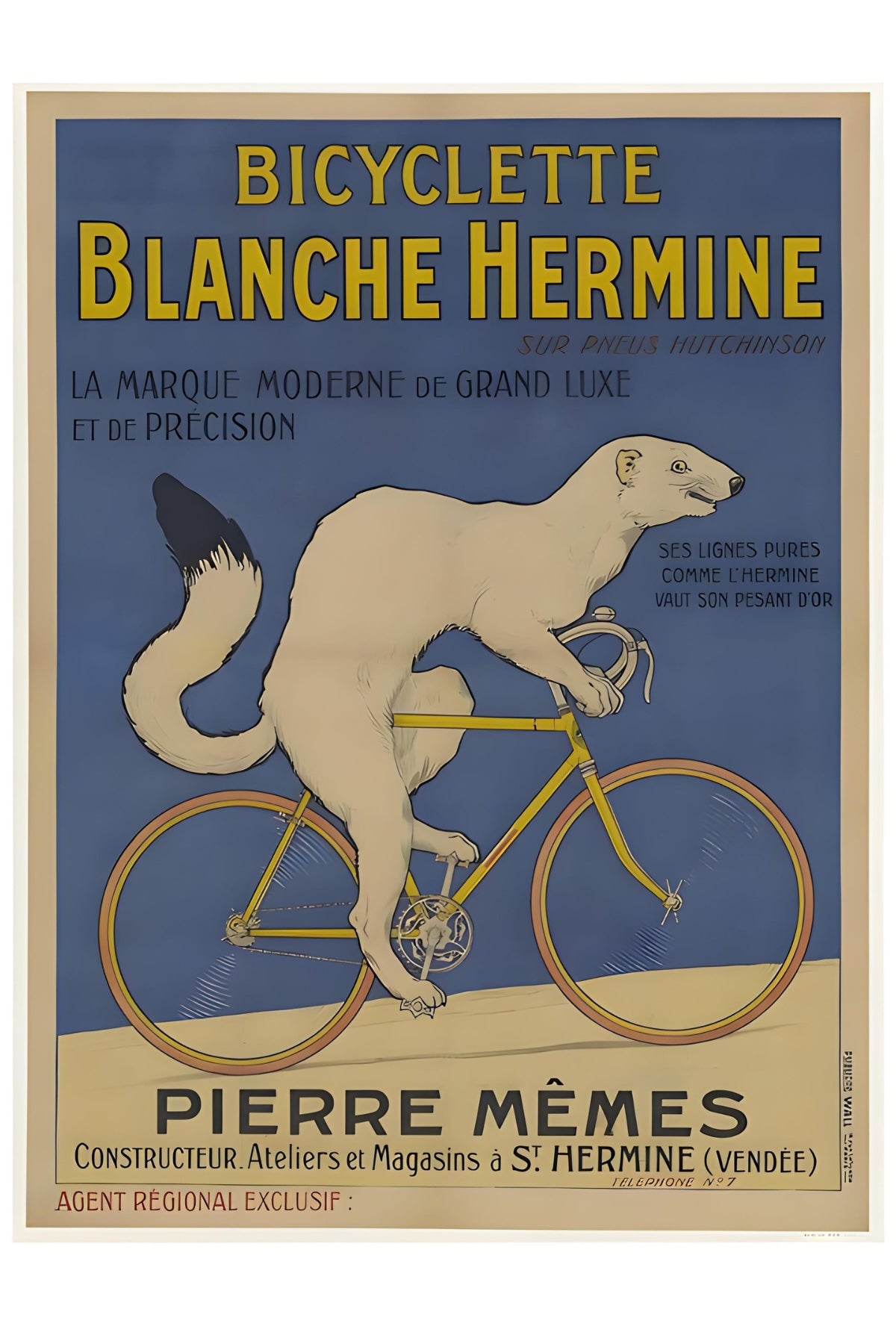 Bicyclette Blanche Hermine Postal Card