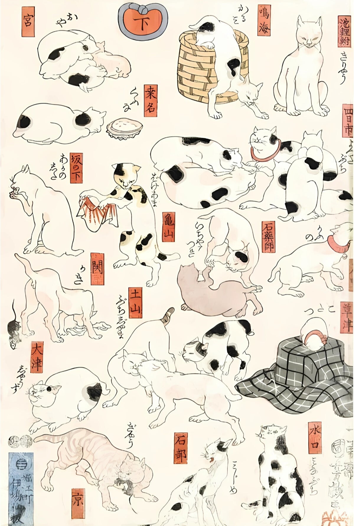 Cat Party Postal Card