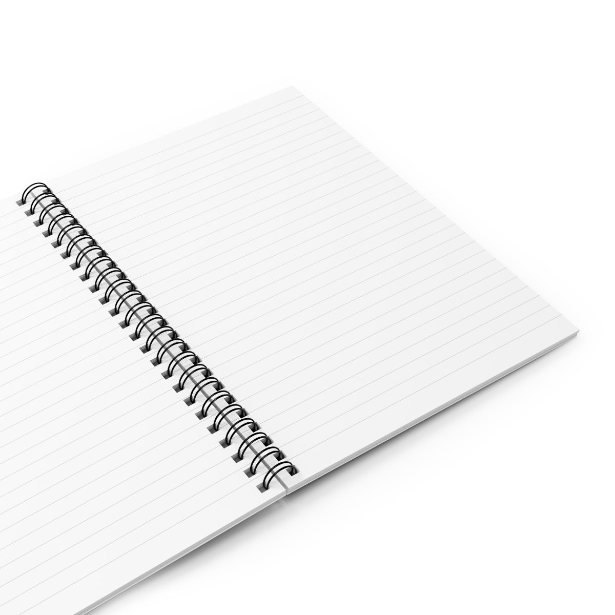JOURNAL DE PLAGE DE CANON