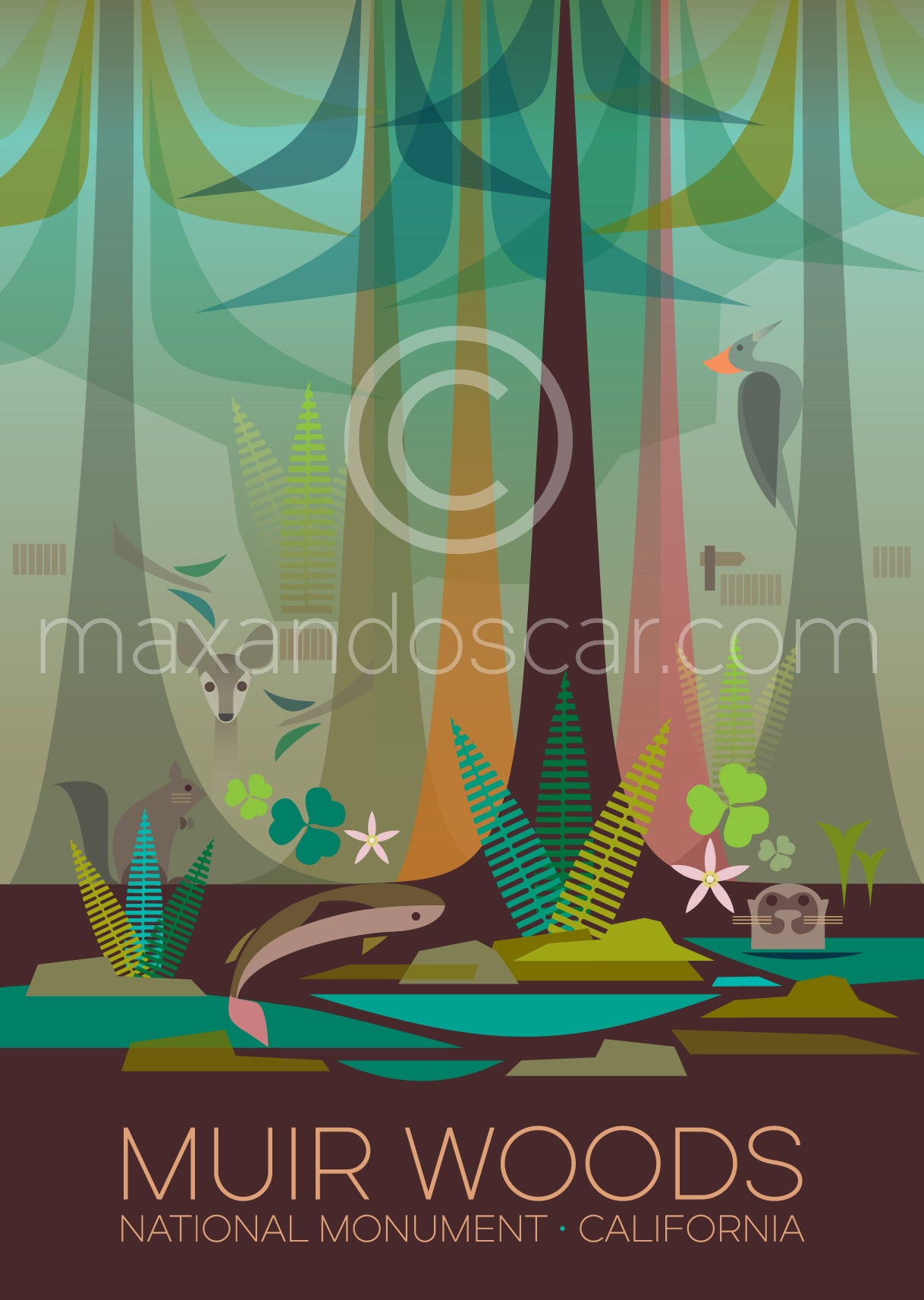 MUIR WOODS NATIONAL MONUMENT PUZZLE