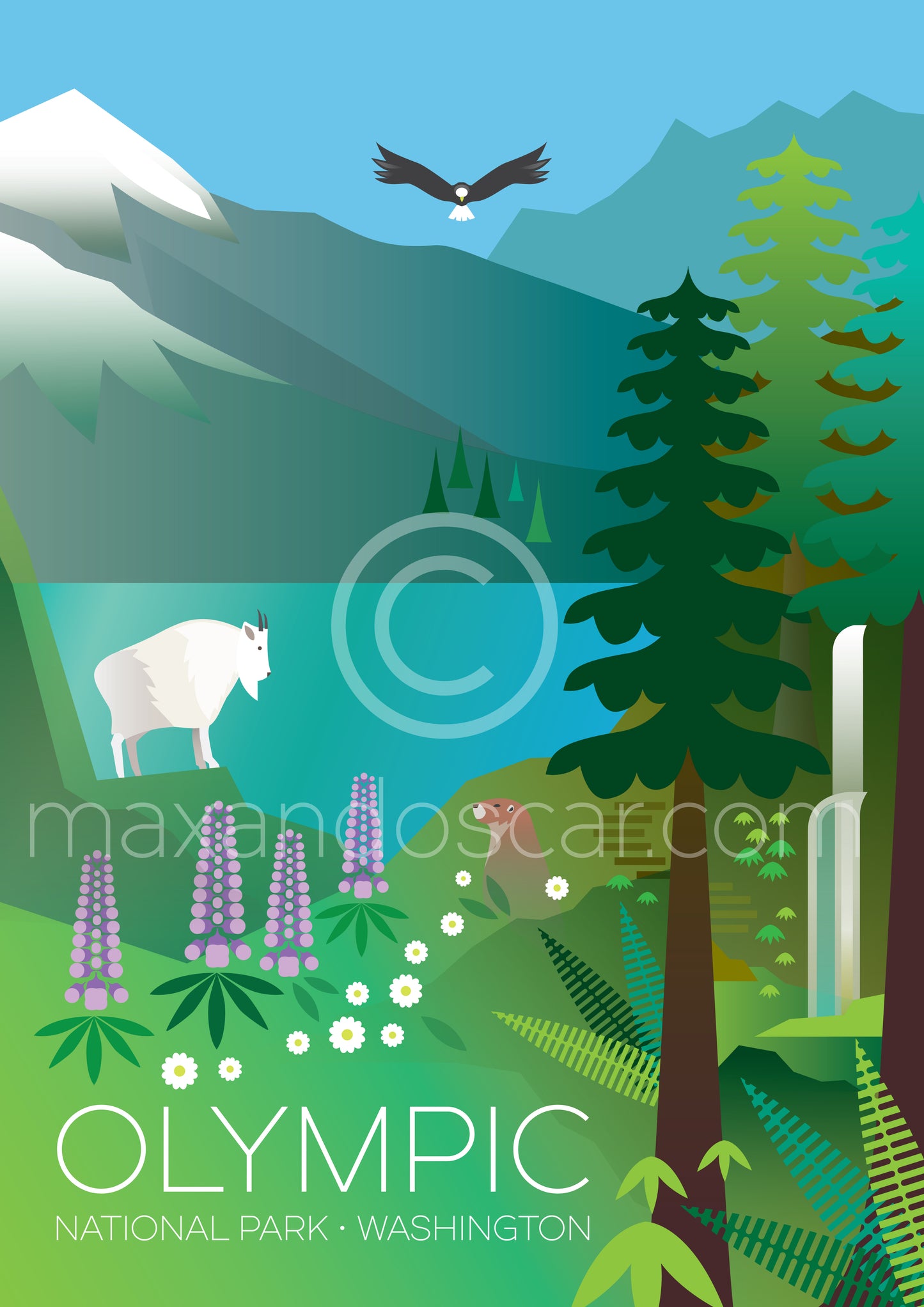 OLYMPISCHER NATIONALPARK-PUZZLE