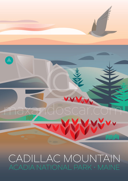 ACADIA NATIONAL PARK, CADILLAC MOUNTAIN PRINT