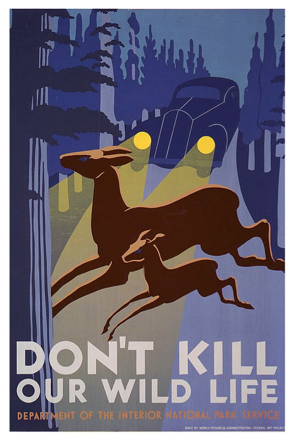 LONG AGO AND FAR AWAY ROADSIDE & WPA POSTAL CARDS