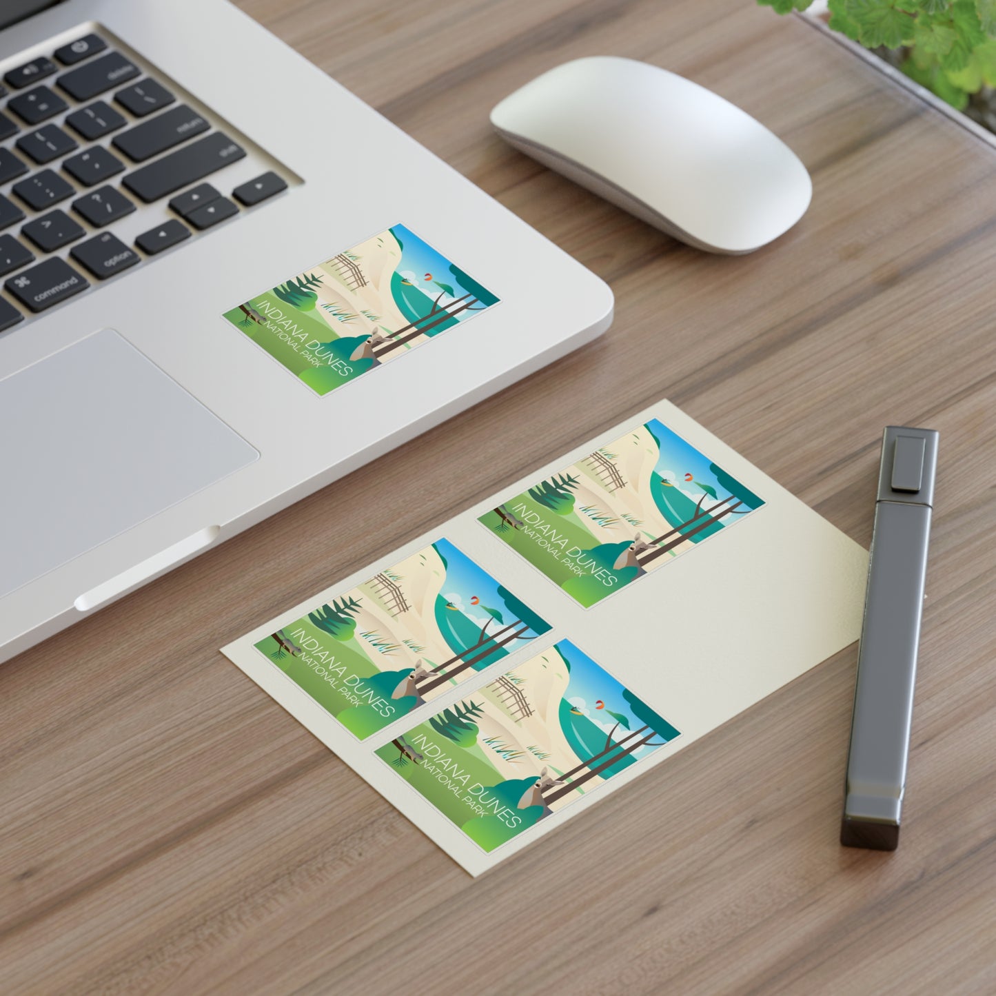 Indiana Dunes National Park Sticker Sheet