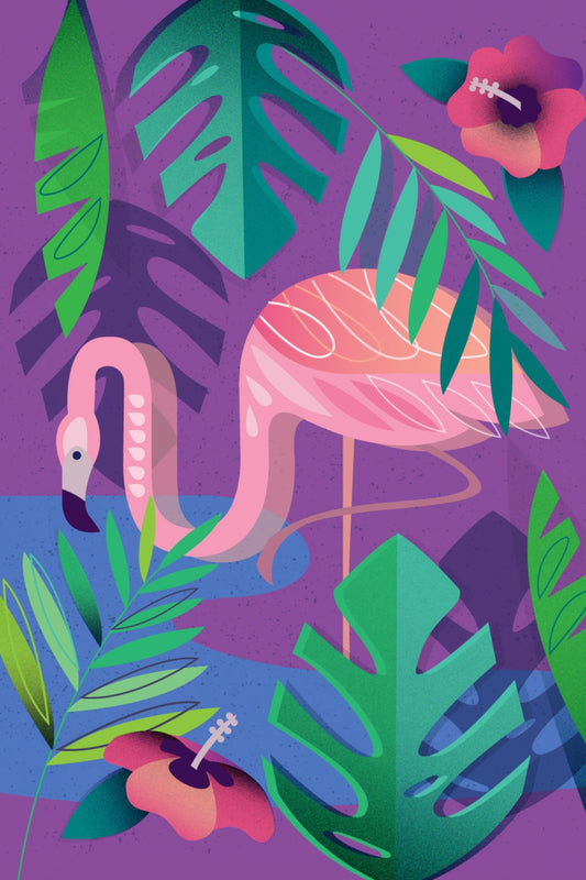 Flamingo Postcard
