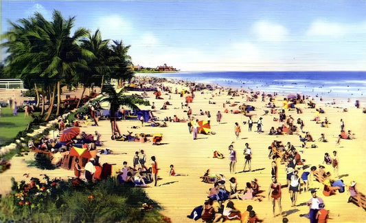 Miami Beach Winter Postal Card