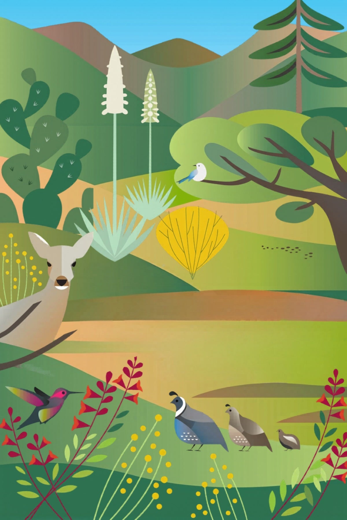 California Wildlife Postcard