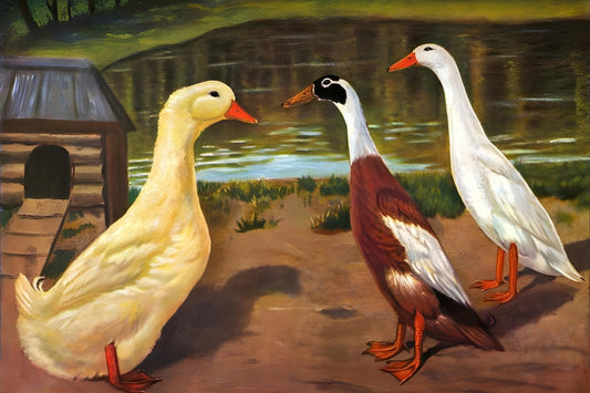 Water Fowl Postal Card