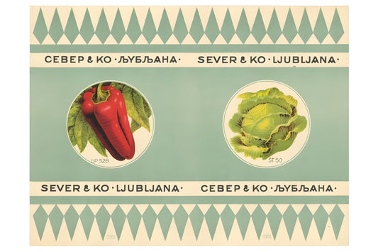 Ljubljana Postal Card