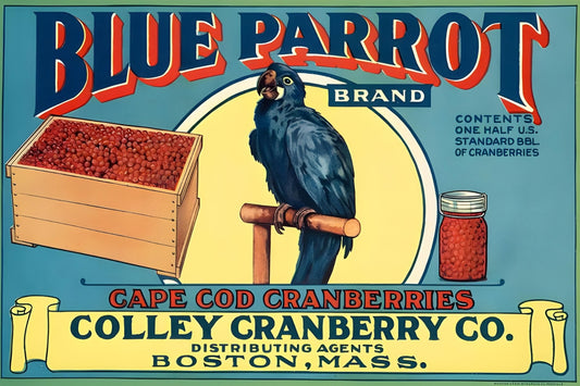 Blue Parrot Cranberries Postal Card