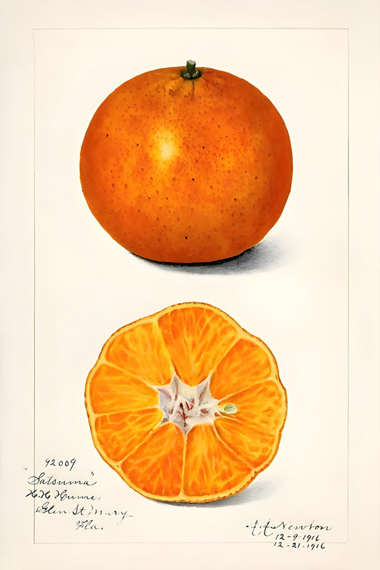 Orange Postal Card