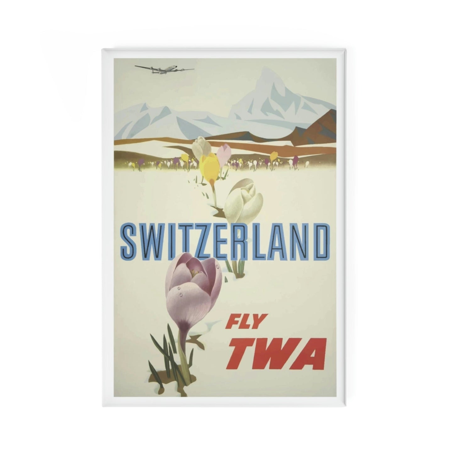 Switzerland TWA Magnet