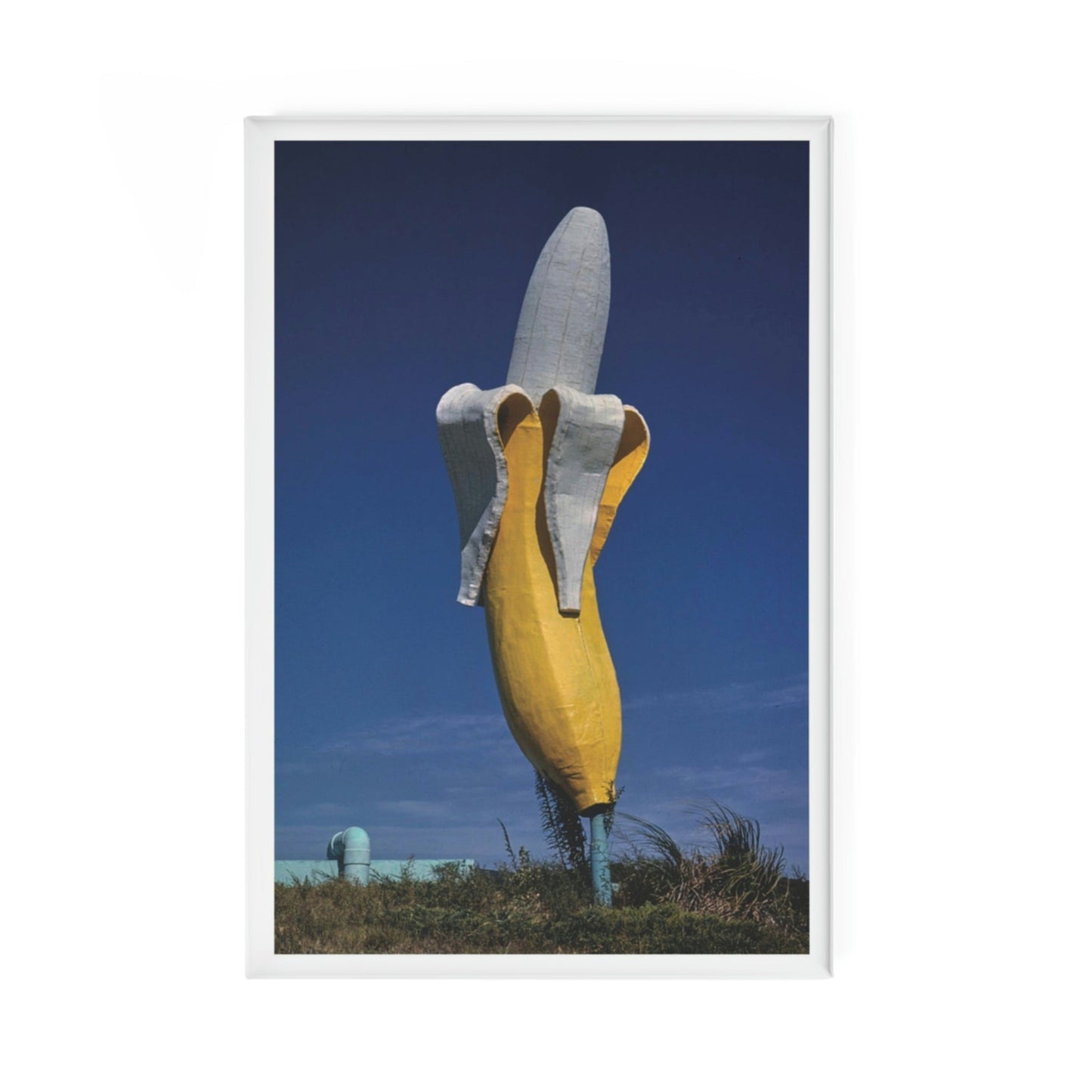 Großer Bananenmagnet