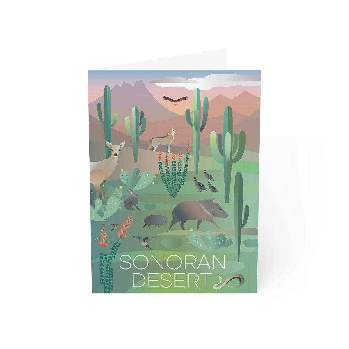 Sonoran Desert gefaltete matte Notizkarten + Umschläge (10 Stück) 