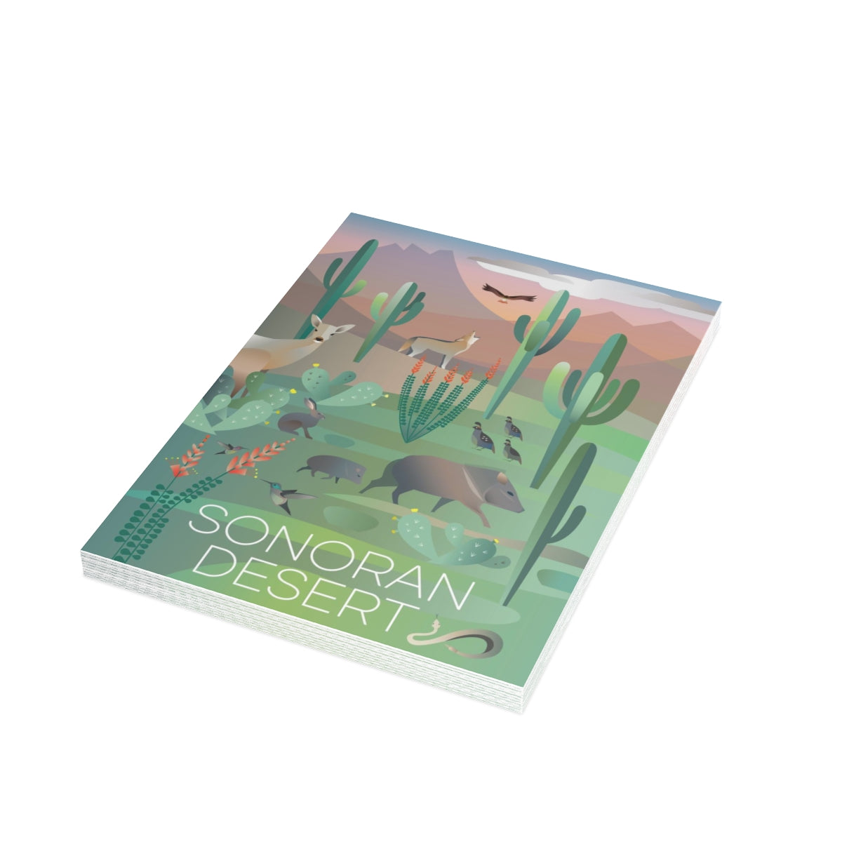 Cartes de notes mates pliées du désert de Sonora + enveloppes (10 pièces) 