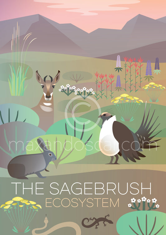 DER SAGEBRUSH ECO SYSTEM-DRUCK 