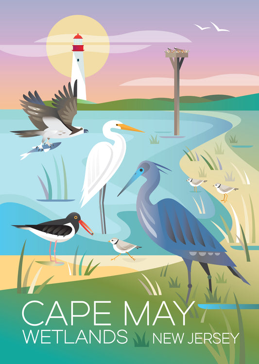 CAPE MAY WETLANDS POSTCARD